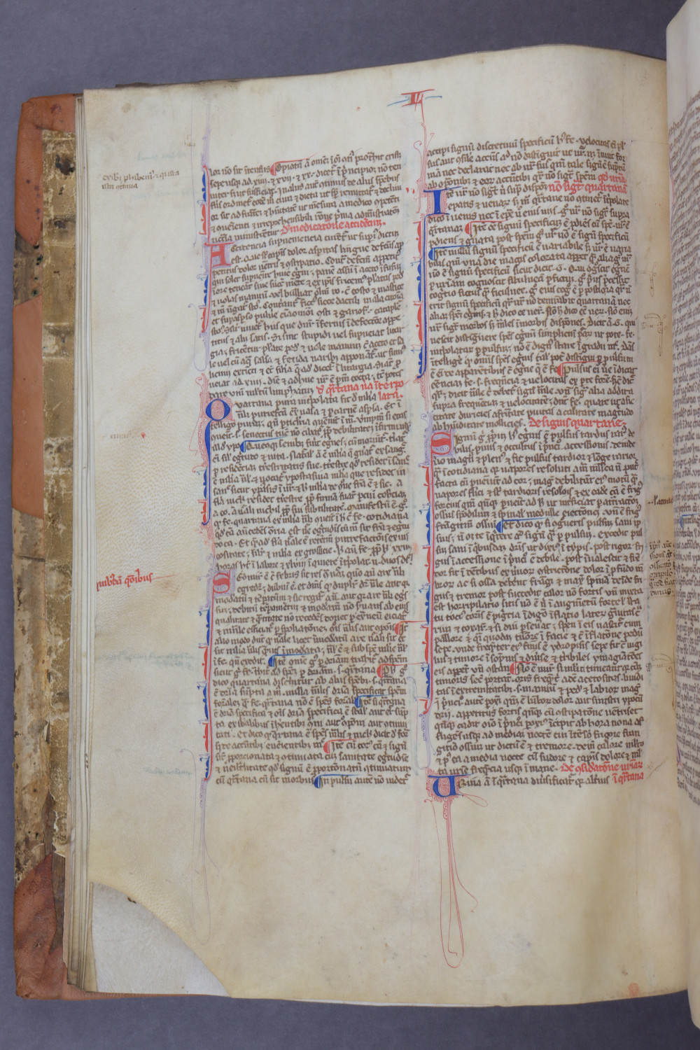 Folio 18 verso